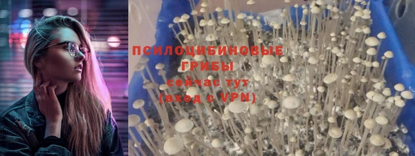 a pvp Заволжск