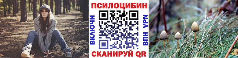 Псилоцибиновые грибы мицелий  Купить закладки  Старая Купавна 